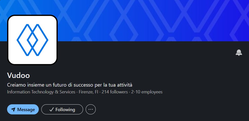 The Vudoo LinkedIn page: a blue cover patterned with diamond outlines, and the blue mark on a white square.